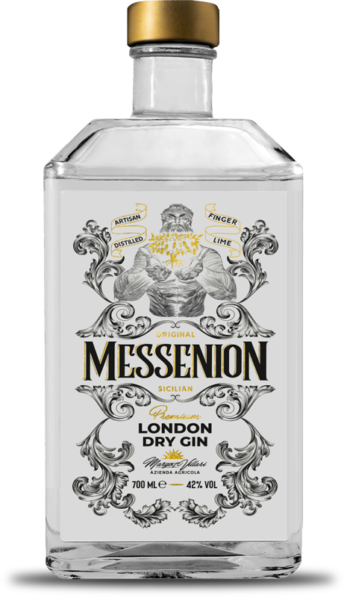 messenion messenion gin